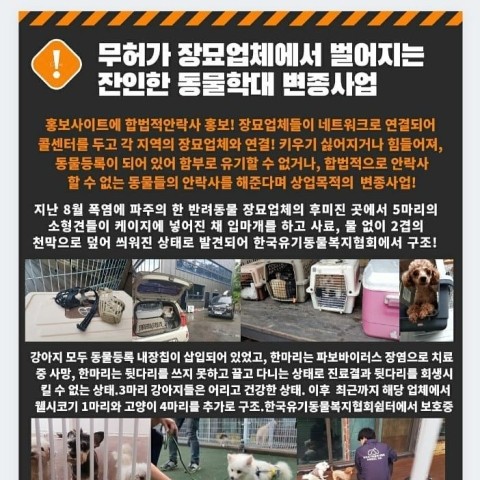 파주장묘 이미지