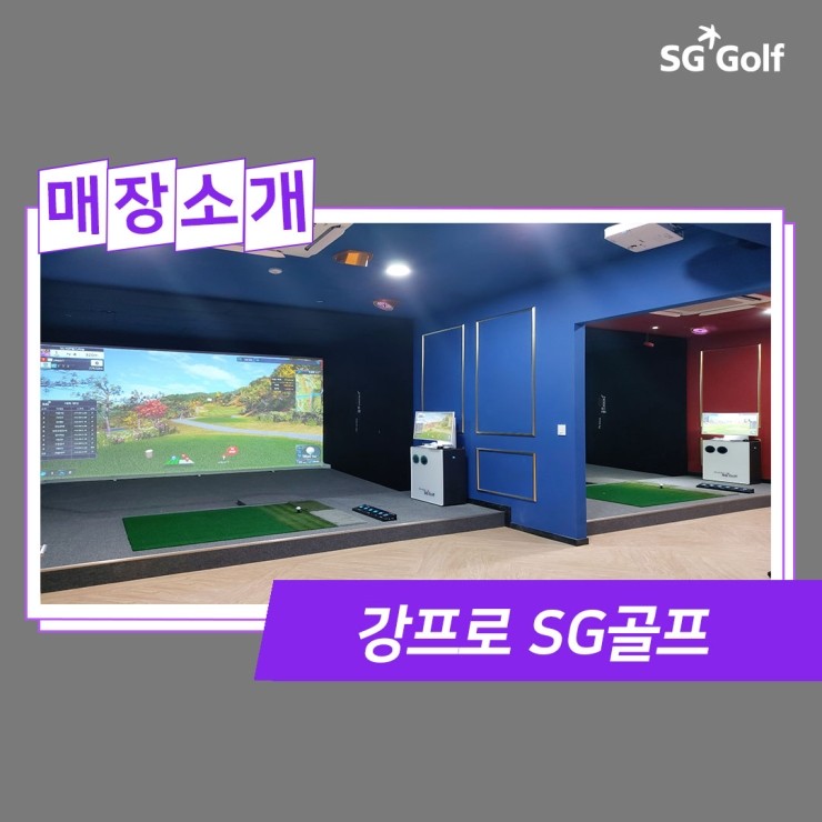 강프로SG골프 이미지