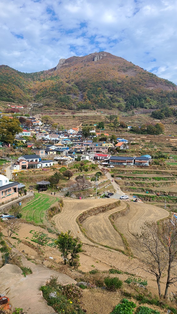 태나식당 이미지