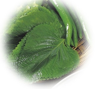 깻잎.jpg