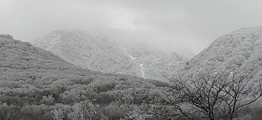한라산석유 이미지