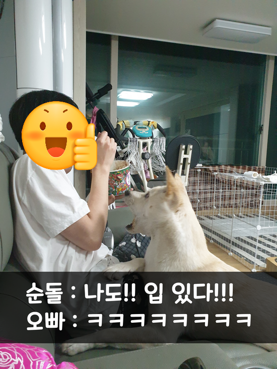 김순돌 이미지