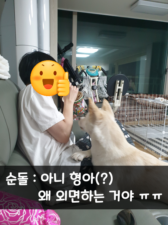 김순돌 이미지