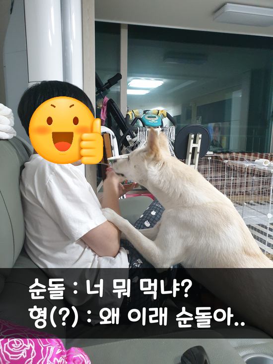 김순돌 이미지