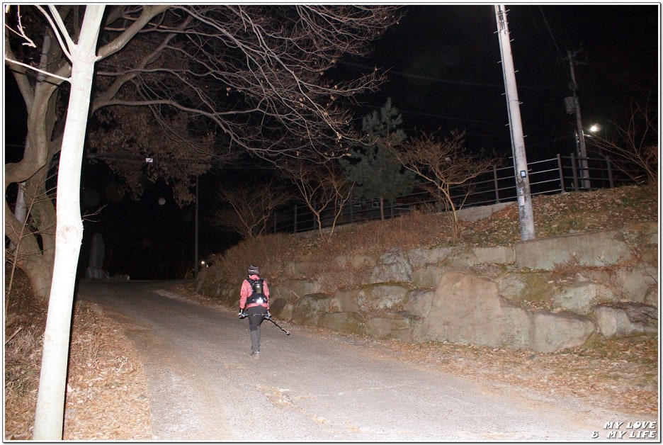 어둔산조망 이미지
