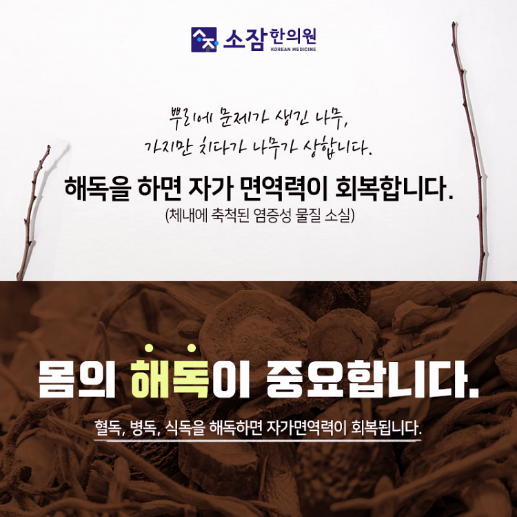 예진피부 이미지