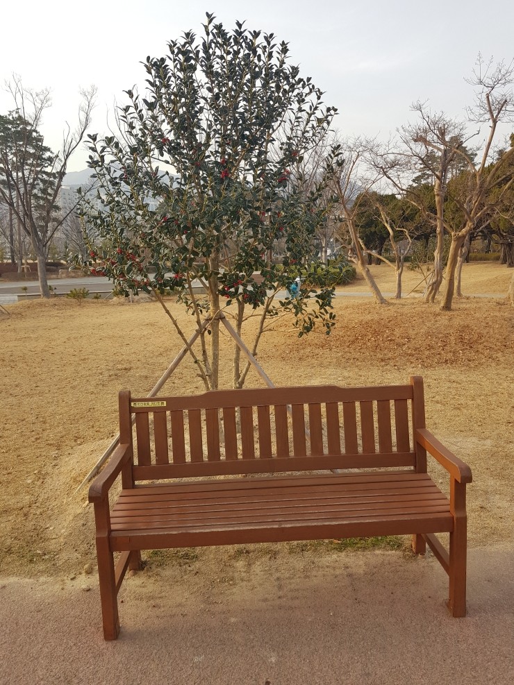 정성들이다 이미지