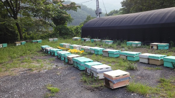 지리산양봉원 이미지