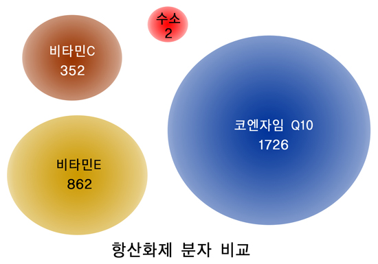수소수이야기 이미지