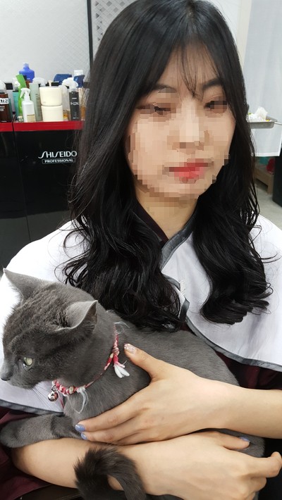 헤어아르니 이미지