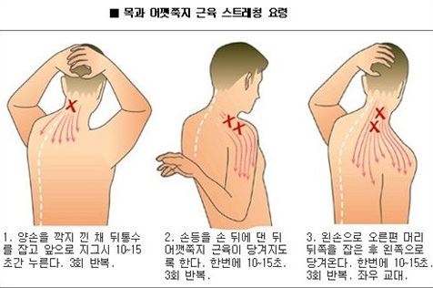 목담 이미지