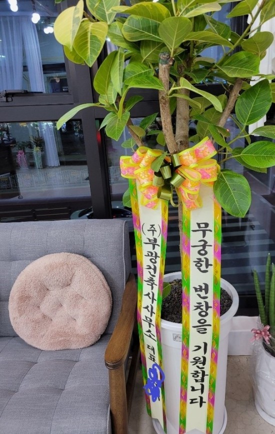 무궁건축사사무소 이미지