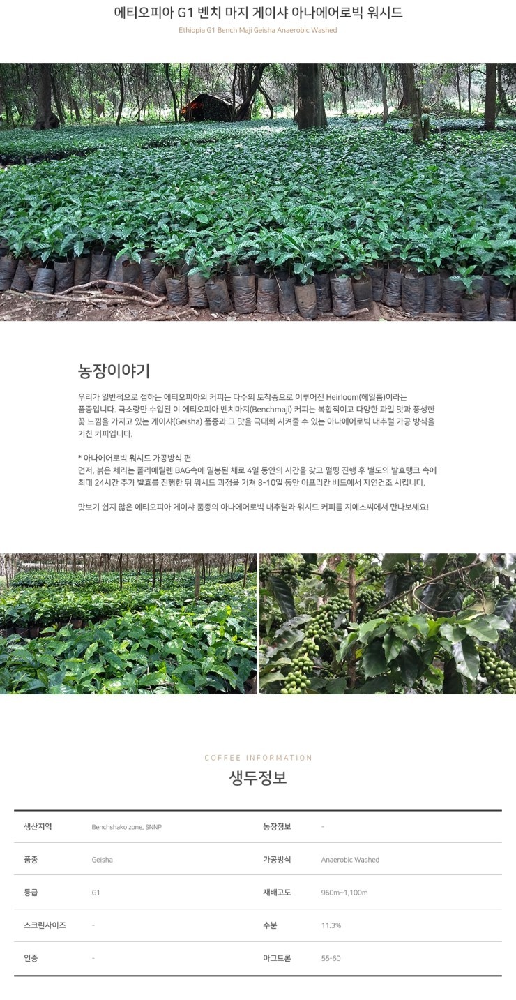 그린비커피 이미지