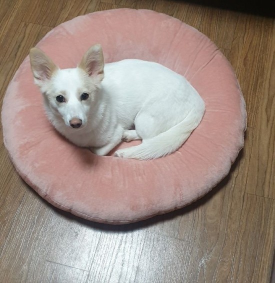 카페다운(cafe 다운) 이미지