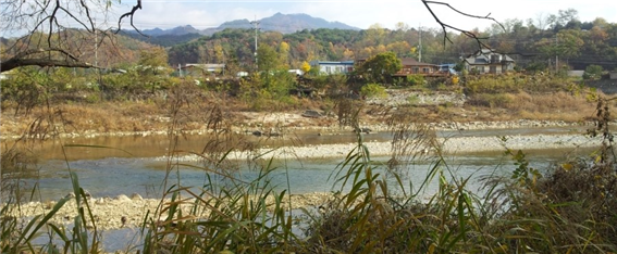 식약동원 이미지
