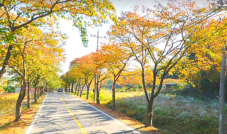 오어사부동산 이미지