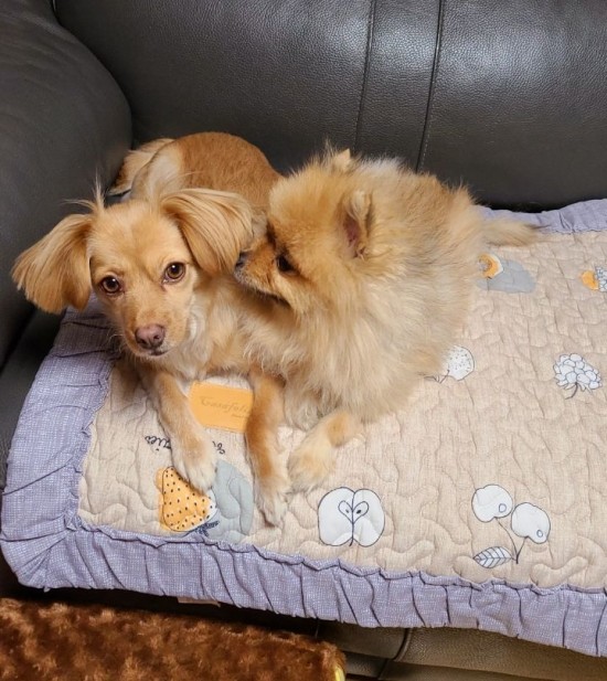 카페54 이미지