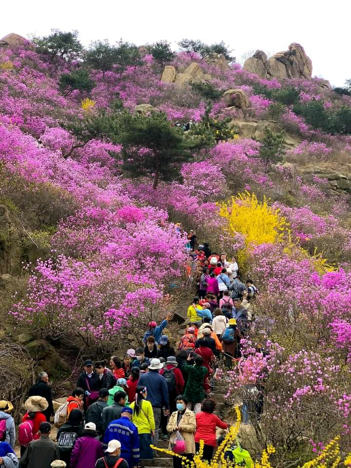 더행복미소 이미지