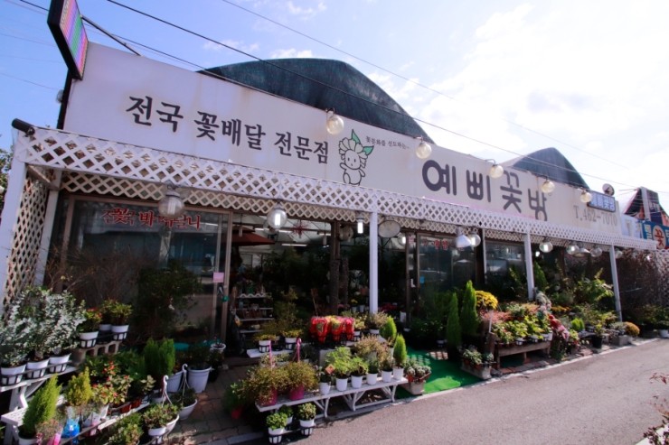 예삐꽃방 이미지