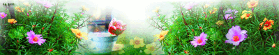 줄,코스모스_줄.gif