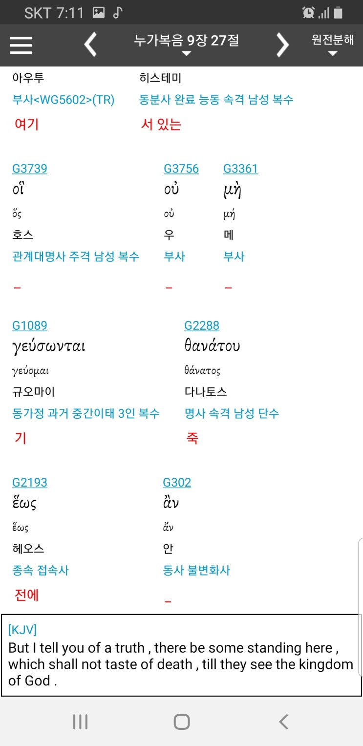 아나스타시스 이미지