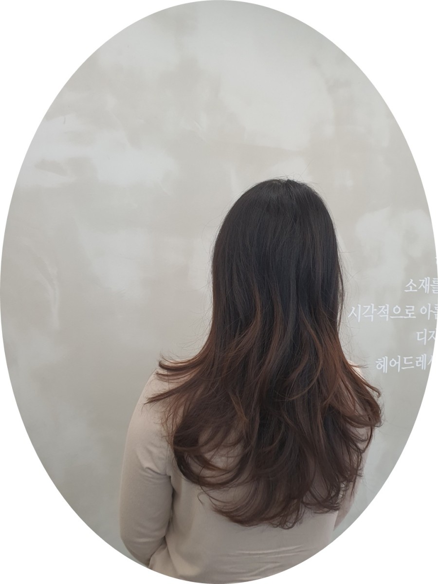 디하문바이공주 이미지