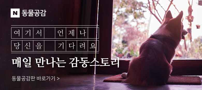 두발로걷자 이미지