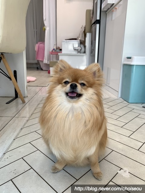곰팅이네일 이미지