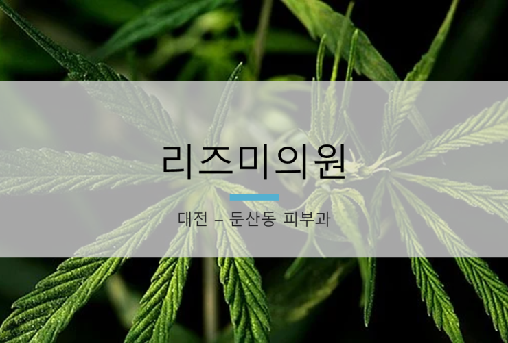 리즈미의원 이미지