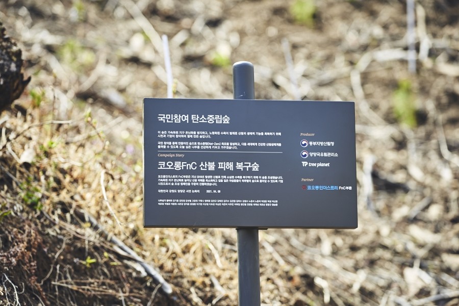 코오롱인더스트리fnc 이미지