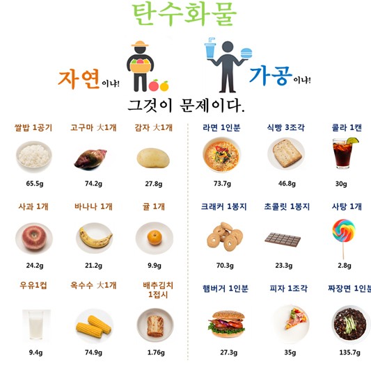 탄수화물 이미지