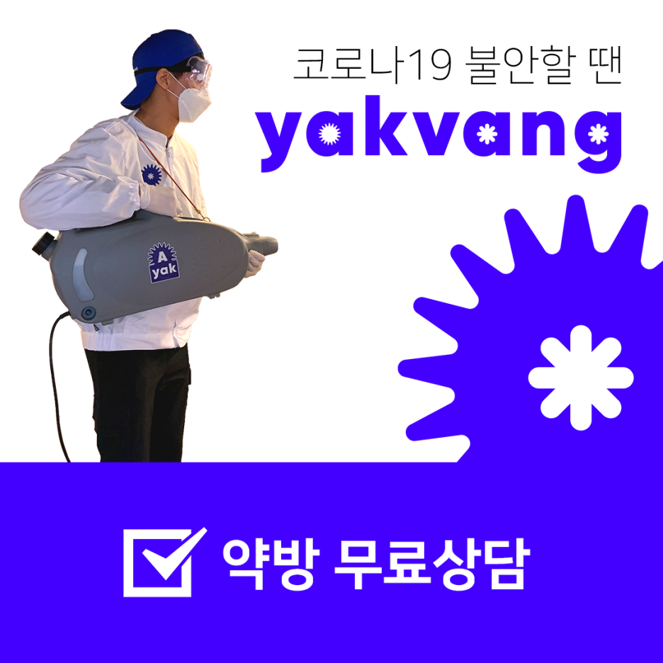 데뮤제 이미지