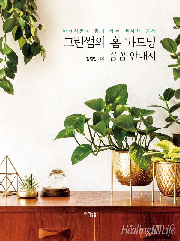 썸그린 이미지