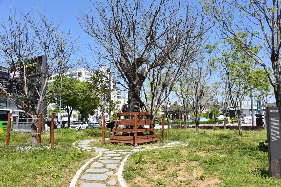 작은나무숲 이미지