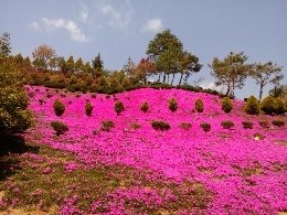 토옥동송어횟집 이미지