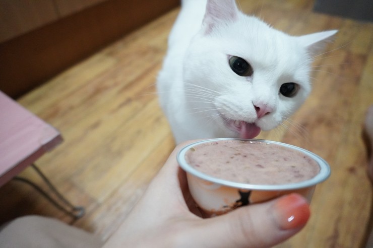 파인푸드 이미지