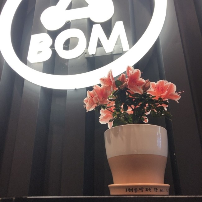 봄이왔나BOM 이미지