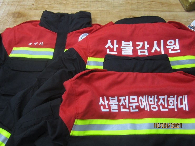 부여나염 이미지