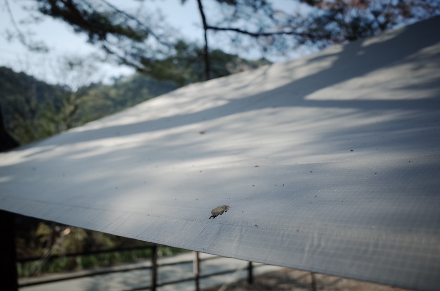 삼척엘림캠핑장 이미지