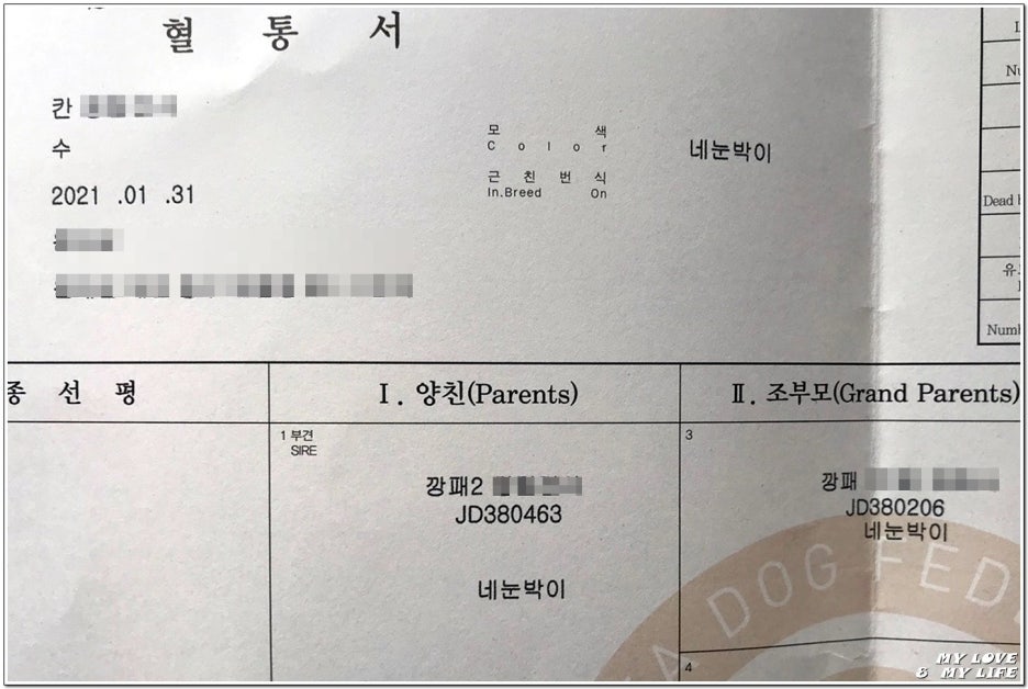 깡패족보 이미지