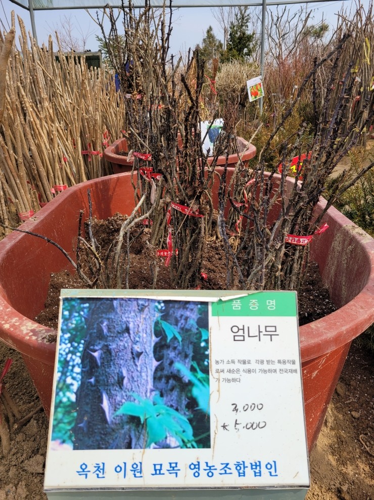 자연꽃농원 이미지