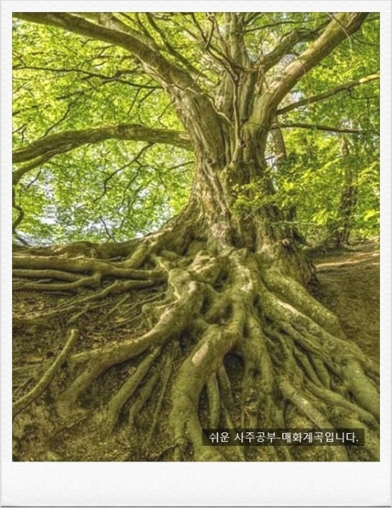 진토목 이미지