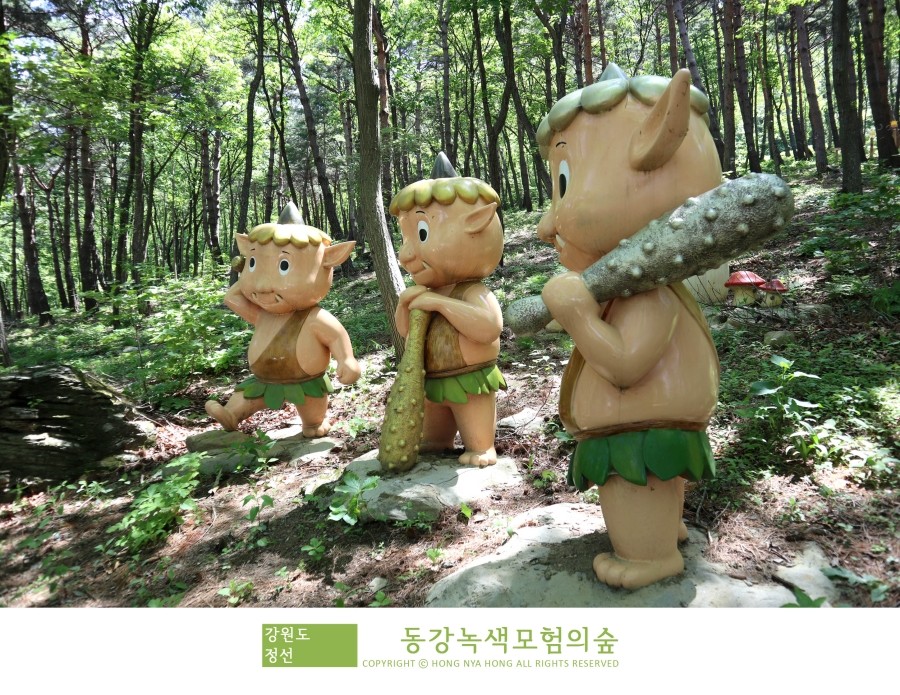 동강글램핑 이미지