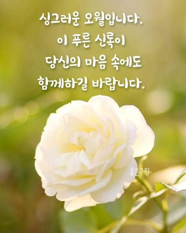 초옥 이미지