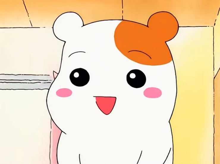 빵한가득 이미지