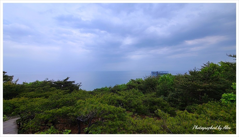 월드조각 이미지