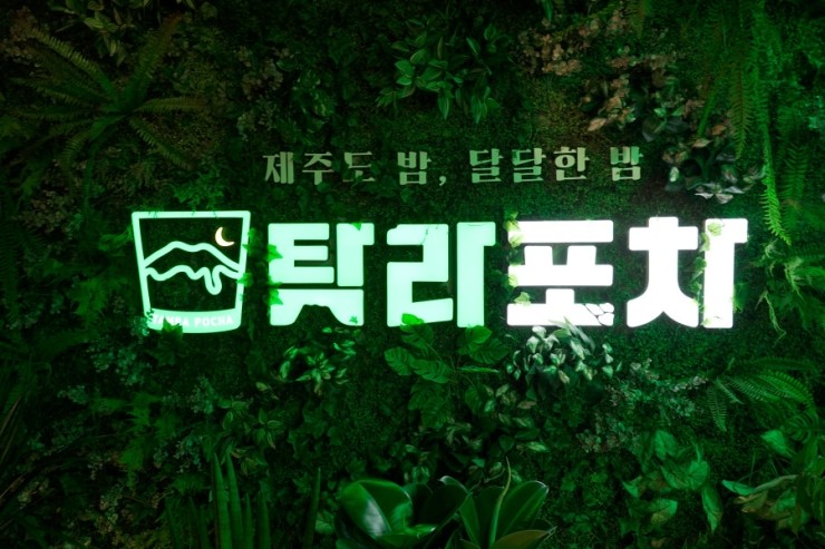 탐라포차 둔산점 이미지
