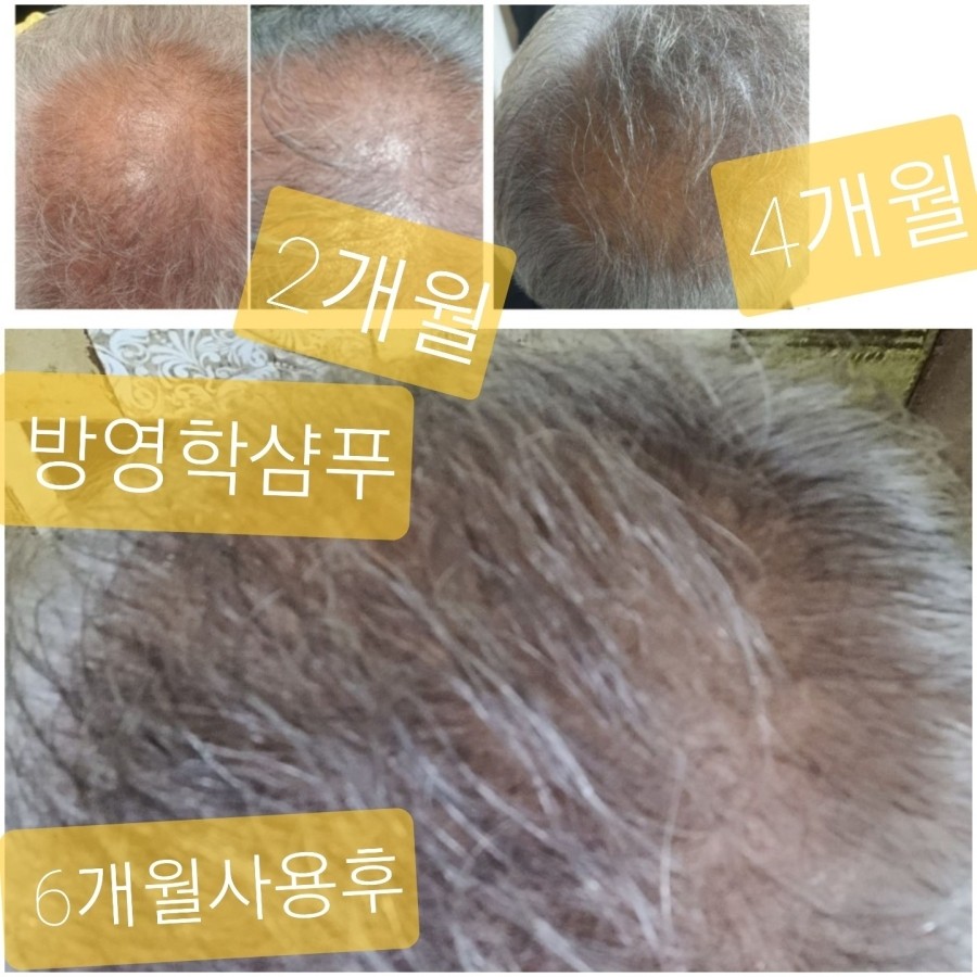 방영학 이미지