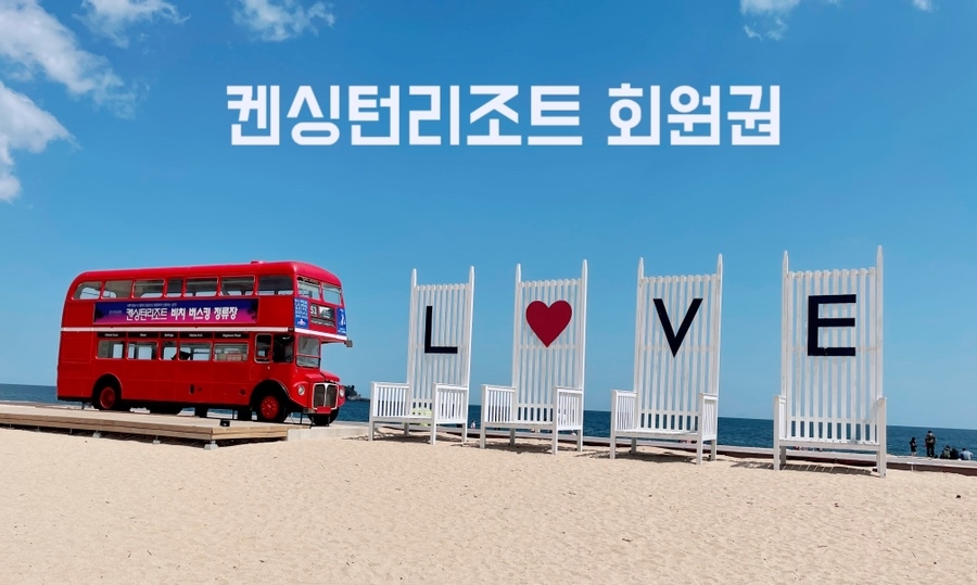 돈사미 이미지