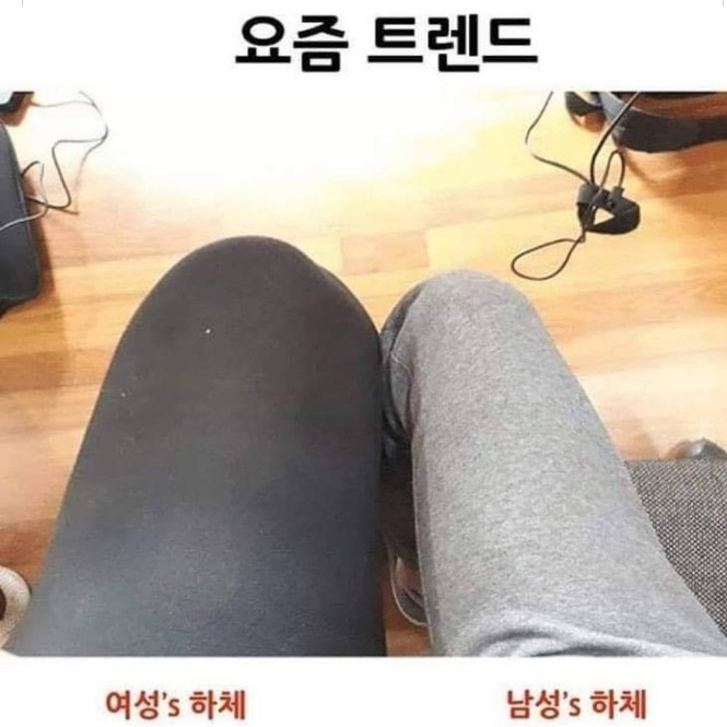 전처리왕 이미지